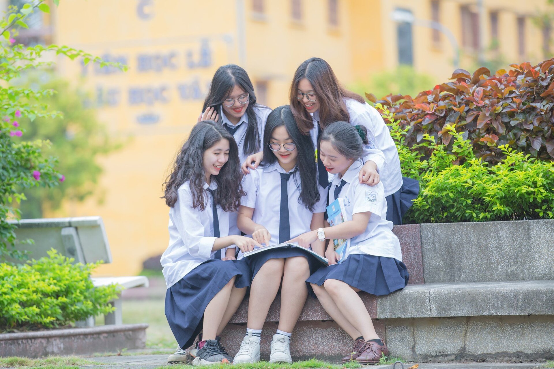 Thông báo nhập học đối với học sinh khối 10 năm học 2021-2022